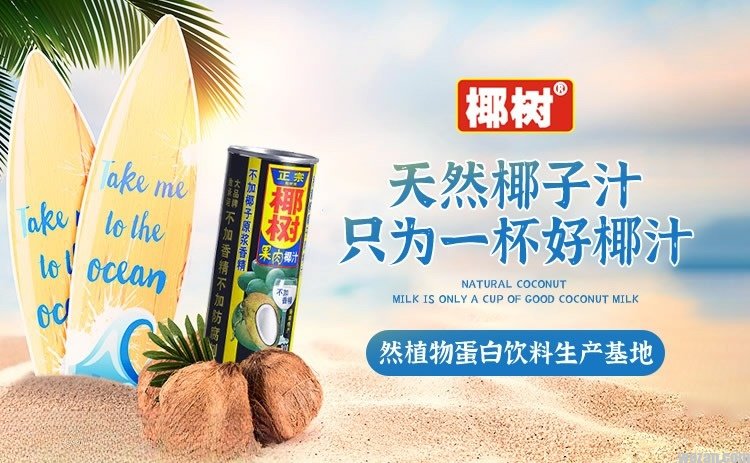 coconutpalm椰树