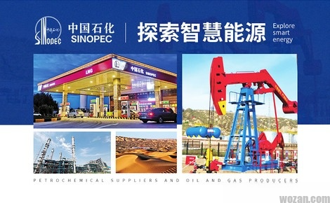 SINOPEG 中国石化